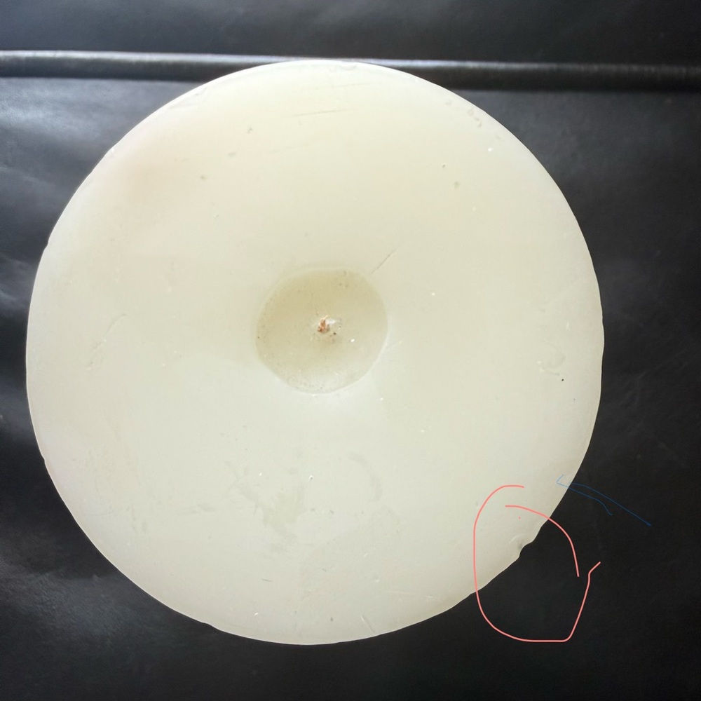 Pier 1 Imports Vintage Candle First Bloom A Botanical Design Premier Bourgeon - Picture 5 of 10